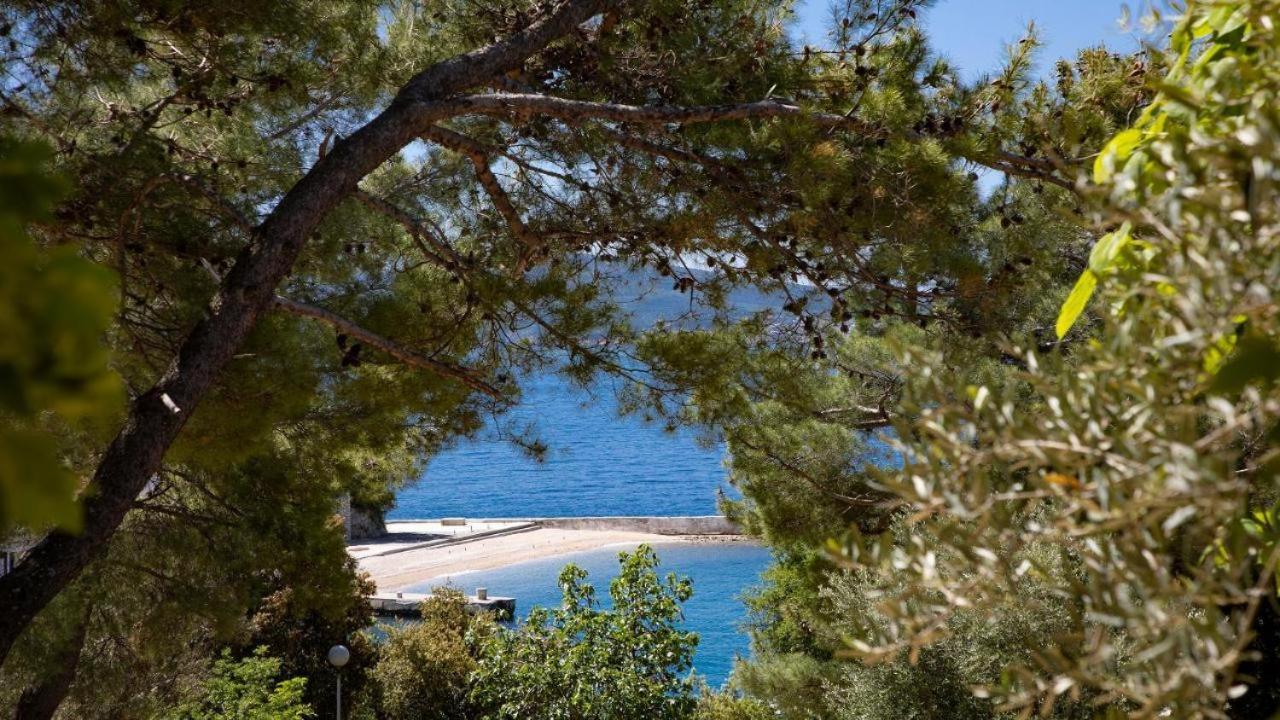 Sea House Pool & Jacuzzi, Bikes, Sup - Privilege Point Camping & Villas Selce Exterior foto